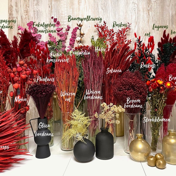 Trockenblumen rot bordeaux Lagurus Ruskus Phalaris Glixia Broom Eukalyptus rote Blumen Hochzeit Geschenk DIY Tischdeko Geburtstag Muttertag