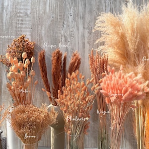 Trockenblumen apricot orange terracotta getrocknete Blumen Frühling Ostern Sommerdeko Herbst Phalaris Weizen Lagurus Hafer Broom DIY Geschenk Boho Deko Hochzeit Geburtstag Taufe dekorieren Trockenblumenstrauß Deko orange