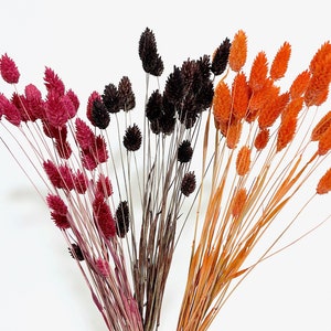 Dried flowers Phalaris bordeaux red dark brown orange naturally dried grasses bunch=30 stems wedding DIY flowers autumn decoration Christmas