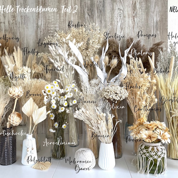 Trockenblumen weiß beige getrocknete Blumen Lagurus Phalaris Ruskus Glixia Palmblatt Broom Flachs Boho Deko Hochzeit Geschenk DIY Tischdeko