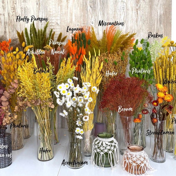 Trockenblumen gelb orange grün Eukalyptus Lagurus Strohblumen Gänseblümchen Craspedia Weizen Phalaris Ruskus DIY Deko Frühling Ostern Herbst