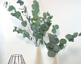 Haltbarer grüner Eukalyptus Cinerea / Trockenblumen konserviert, stabilisierter Eukalyptus / Hochzeit, Boho, Frühlingsdeko, Ostern, Geschenk
