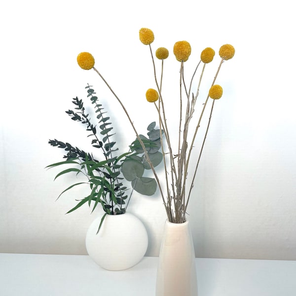 Craspedia gelb getrocknete Blume Trommelstock Billy Ball natürliche Trockenblumen Frühling Ostern Home Deco DIY Strauß Kranz Hochzeit Deko