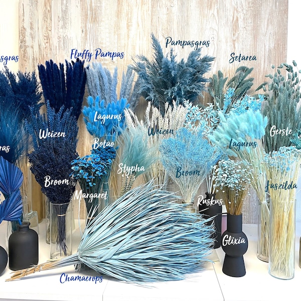 Trockenblumen Trockenblumenstrauß blau hellblau dunkelblau Pampas Ruskus Lagurus Broom Glixia blaue getrocknete Blumen Deko Taufe Hochzeit