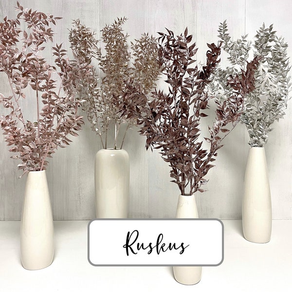 Ruscus Trockenblume Ruskus weiß rosé champagner Glitzer Pearl Effekt Trockenblumenarrangement festlich dekorieren Hochzeit Geburtstag Ostern