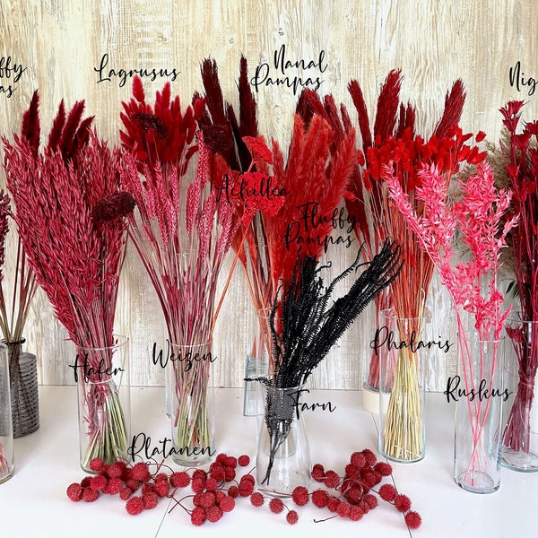 Rote Trockenblumen getrocknete Blumen dunkelrot bordeaux Phalaris Lagurus Pampasgras Ruskus Deko DIY Hochzeit Geschenk Geburtstag Muttertag