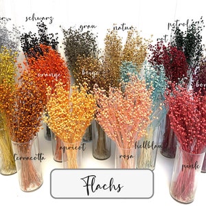 Flachs getrocknet Leinen Kügelchen Trockenblumen Trockenblumenstrauß Trockenblumenkranz Flachskranz Deko Hochzeit DIY Basteln Karte Torte