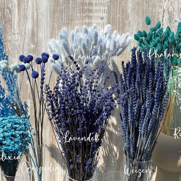 Blaue Trockenblumen getrocknete Blumen in türkis hellblau dunkelblau Ruscus Craspedia Glixia Phalaris Lagurus Lavendel Weizen Hochzeit Deko