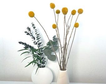 Craspedia gelb getrocknete Blume Trommelstock Billy Ball natürliche Trockenblumen Frühling Ostern Home Deco DIY Strauß Kranz Hochzeit Deko