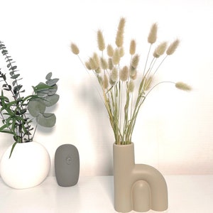 Lagurus naturel vert clair marron Beige naturel fleurs séchées herbe séchée maison déco été mariage carte d'invitation artisanat bricolage