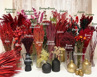 Trockenblumen rot bordeaux Lagurus Ruskus Phalaris Glixia Broom Eukalyptus rote Blumen Hochzeit Geschenk DIY Tischdeko Geburtstag Muttertag