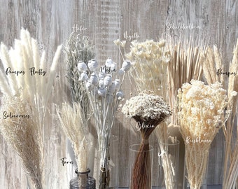 Weiße Trockenblumen getrocknete Blumen helle Farben Pampas Ruskus Glixia Nigella Farn Hafer Schilfkolben Deko Frühling Hochzeit Geschenk DIY