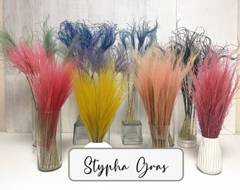 Trockenblumen Stypha Gras Stipa Pennata Federgras für Trockenblumenstrauß Trockenblumenarrangement Frühling Ostern DIY Home Deco Hochzeit