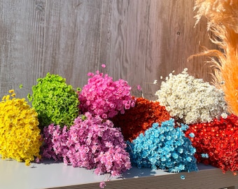 May include: A collection of seven bunches of dried baby's breath flowers in various colours, including yellow, green, pink, red, blue, and white. The flowers are arranged on a grey surface in front of a wooden background.