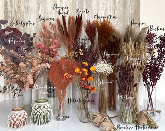 Flores secas marrones, flores secas, naranja, terracota, eucalipto, Phalaris, Lagurus ruscus, flores de paja, boda, regalo, decoración, primavera