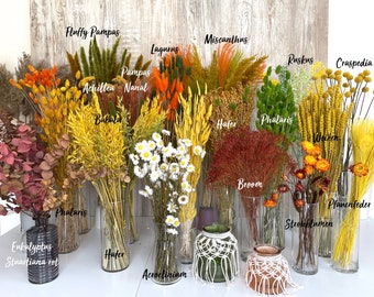 Flores secas amarillo naranja verde Eucalipto Lagurus Flores de paja Margaritas Craspedia Trigo Phalaris Ruscus Decoración DIY Primavera Pascua Otoño
