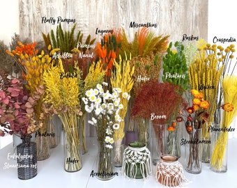 Trockenblumen gelb orange grün Eukalyptus Lagurus Strohblumen Gänseblümchen Craspedia Weizen Phalaris Ruskus DIY Deko Frühling Ostern Herbst