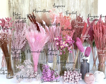 Flores secas rosas, flores secas, margaritas, Phalaris, Lagurus, Ruscus, Gypsophila, Glixia, Pampas, Avena, Trigo, decoración de bodas DIY