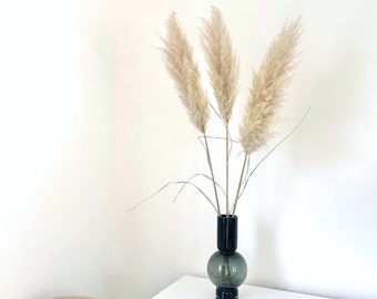 Herbe de pampa légère super moelleuse / herbe de pampa de qualité supérieure / longueur 115 cm / fleurs séchées aux couleurs vives / Boho, Noël / prix pour 1 tige