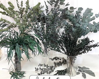 Eukalyptus grün Populus Baby Blue Cinerea Parvifolia Eukalyptus Tischdeko Zweige Adventskranz Türkranz Deko Hochzeit Kommunion DIY