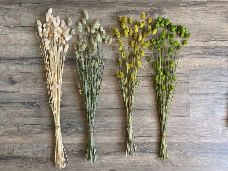 K&ouml;nnte beinhalten: Vier B&uuml;ndel Trockenblumen in verschiedenen Beige-, Gr&uuml;n- und Gelbt&ouml;nen. Jedes B&uuml;ndel ist mit Bindfaden gebunden. Die Blumen haben ein strukturiertes, flauschiges Aussehen und sind auf einer Holzoberfl&auml;che angeordnet.