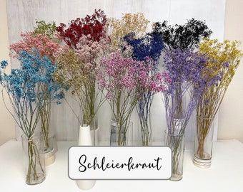 May include: A collection of dried baby's breath flowers in various colours, including blue, pink, red, yellow, and purple, arranged in clear glass vases. The flowers are displayed on a white surface with a sign that reads "Schleierkraut".