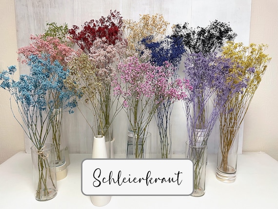 Getrocknetes Schleierkraut Gypsophila Strauß Trockenblumen Trockenblumenstrauß Trockenblumenkranz DIY Hochzeit Deko Geschenk Frühlingsdeko