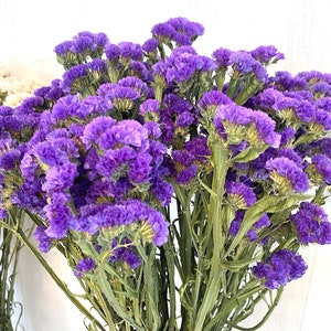 May include: A bouquet of dried purple statice flowers with green stems. The flowers are arranged in a vase.