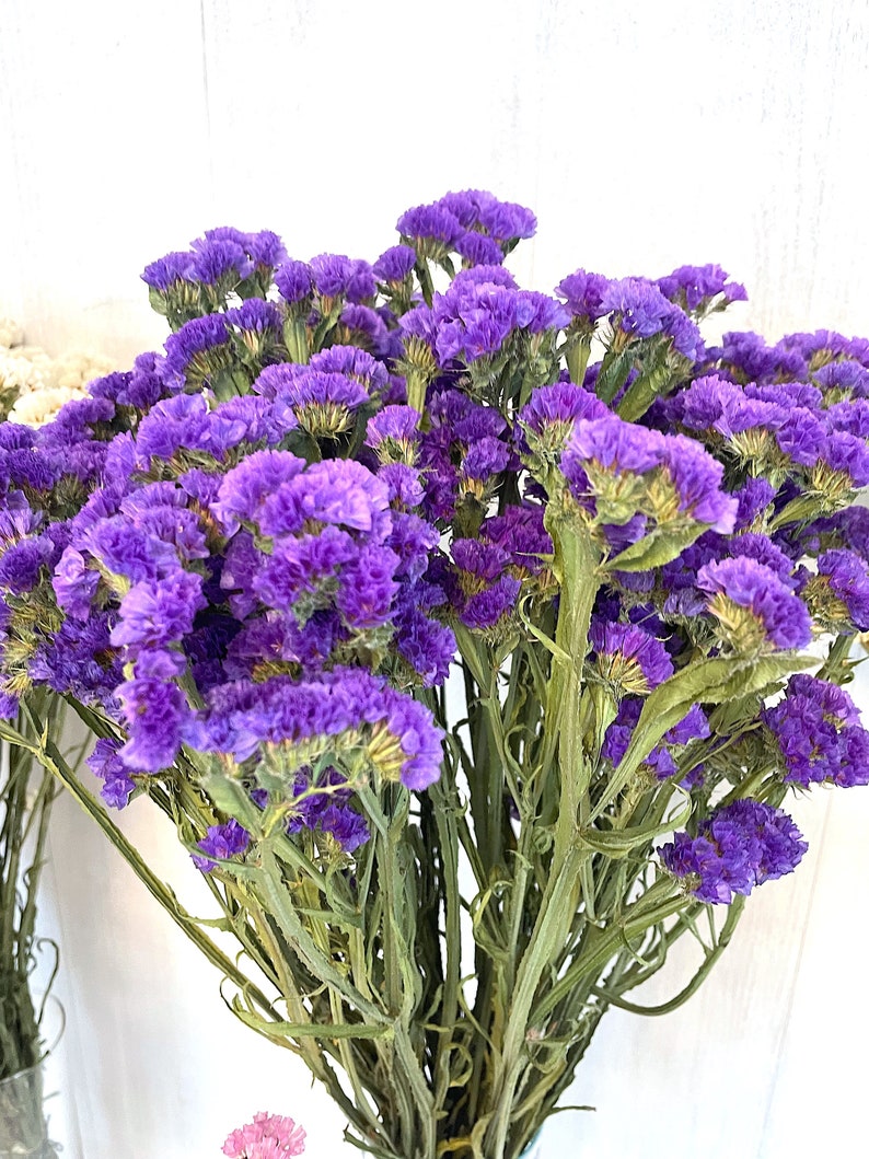 May include: A bouquet of dried purple statice flowers with green stems. The flowers are arranged in a vase.