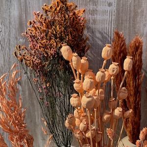 Dried flowers apricot orange terracotta dried flowers spring Phalaris wheat Lagurus oats Broom DIY gift boho decoration wedding image 4