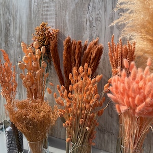 Dried flowers apricot orange terracotta dried flowers spring Phalaris wheat Lagurus oats Broom DIY gift boho decoration wedding image 9