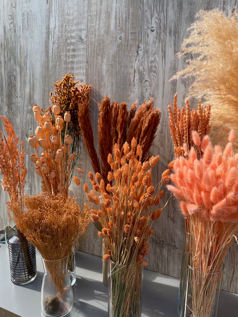 Dried flowers apricot orange terracotta dried flowers spring Phalaris wheat Lagurus oats Broom DIY gift boho decoration wedding image 9