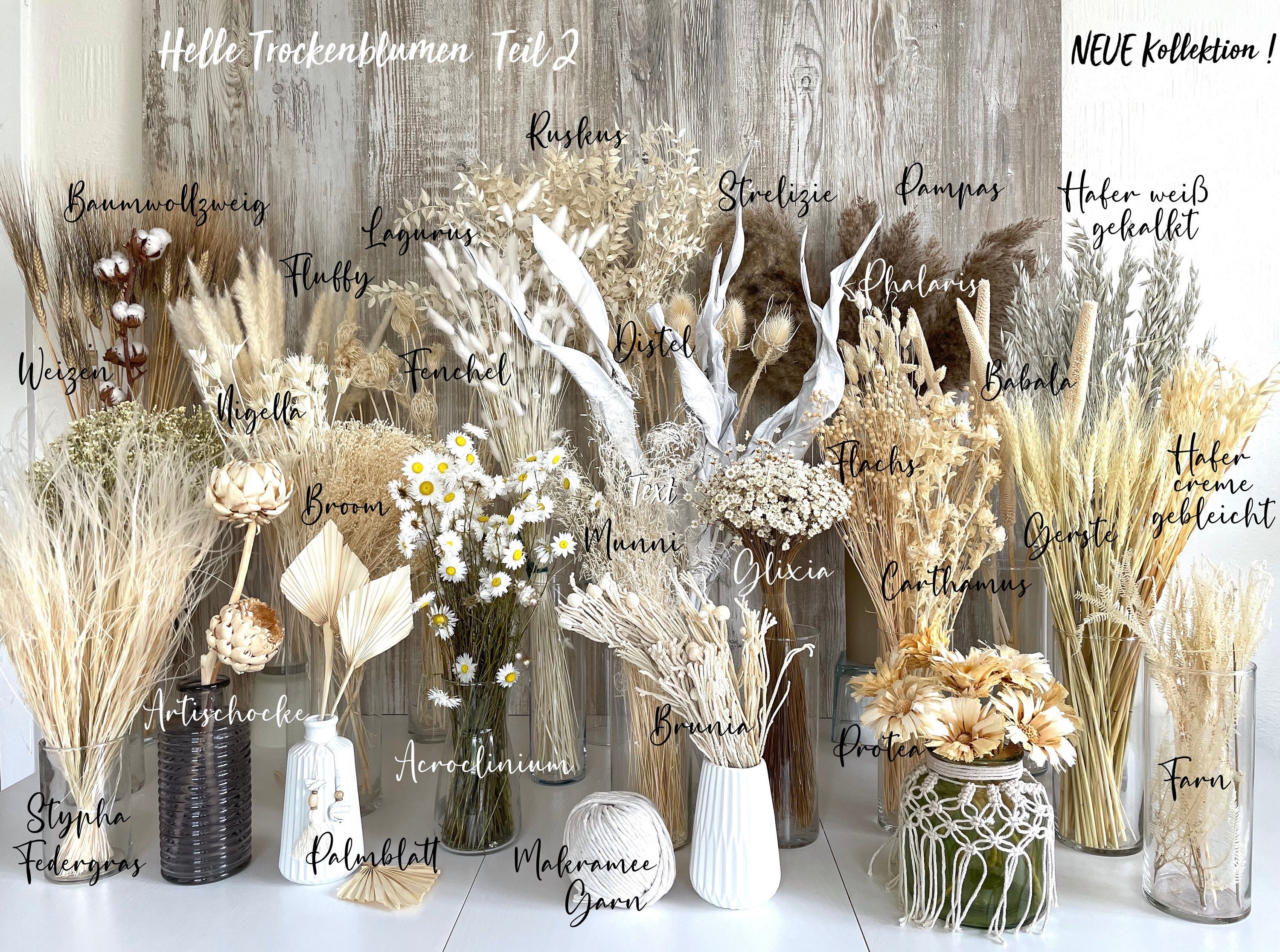 Trockenblumen Weiß Beige Getrocknete Blumen Lagurus Phalaris Ruskus Glixia Palmblatt Broom Flachs Boho Deko Hochzeit Tischdeko Weihnachten