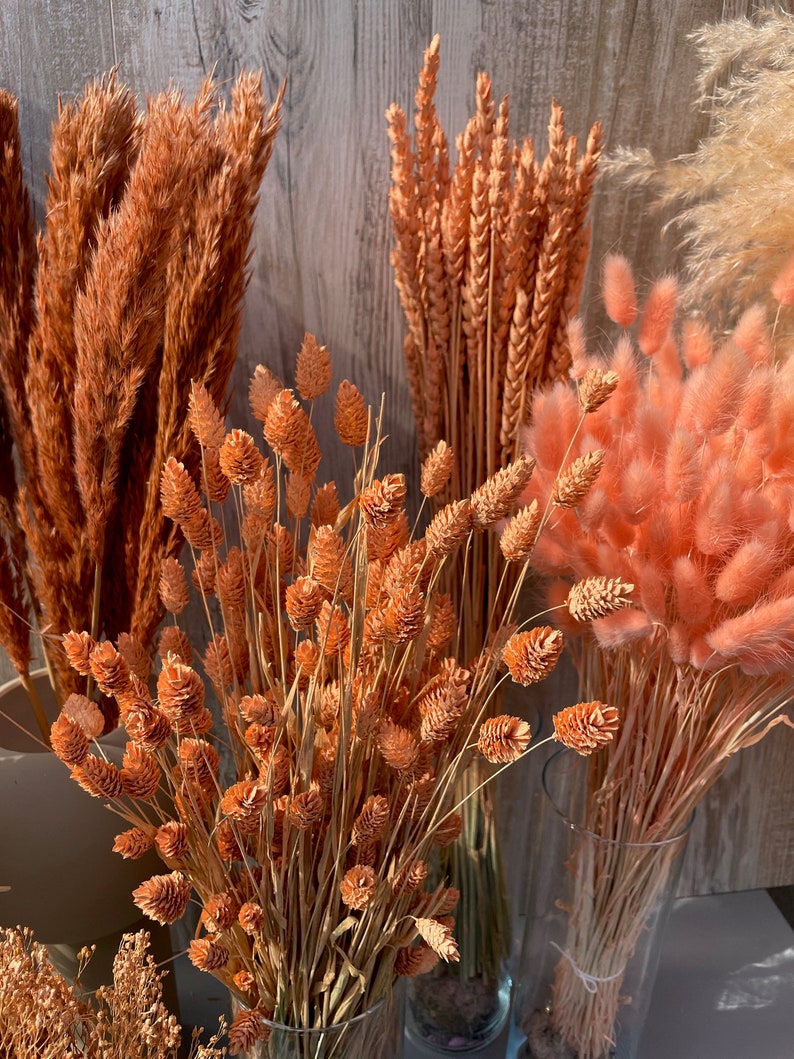 Dried flowers apricot orange terracotta dried flowers spring Phalaris wheat Lagurus oats Broom DIY gift boho decoration wedding image 6