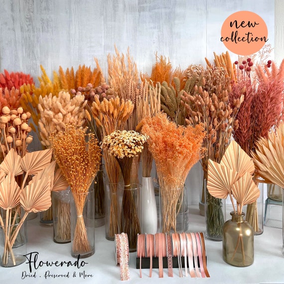 Trockenblumen Apricot Orange Blumen Tischdeko Hochzeitsdeko Brautstrauß Hochzeit Einladung DIY Deko Frühling Osterdeko Trockenblumenstrauß