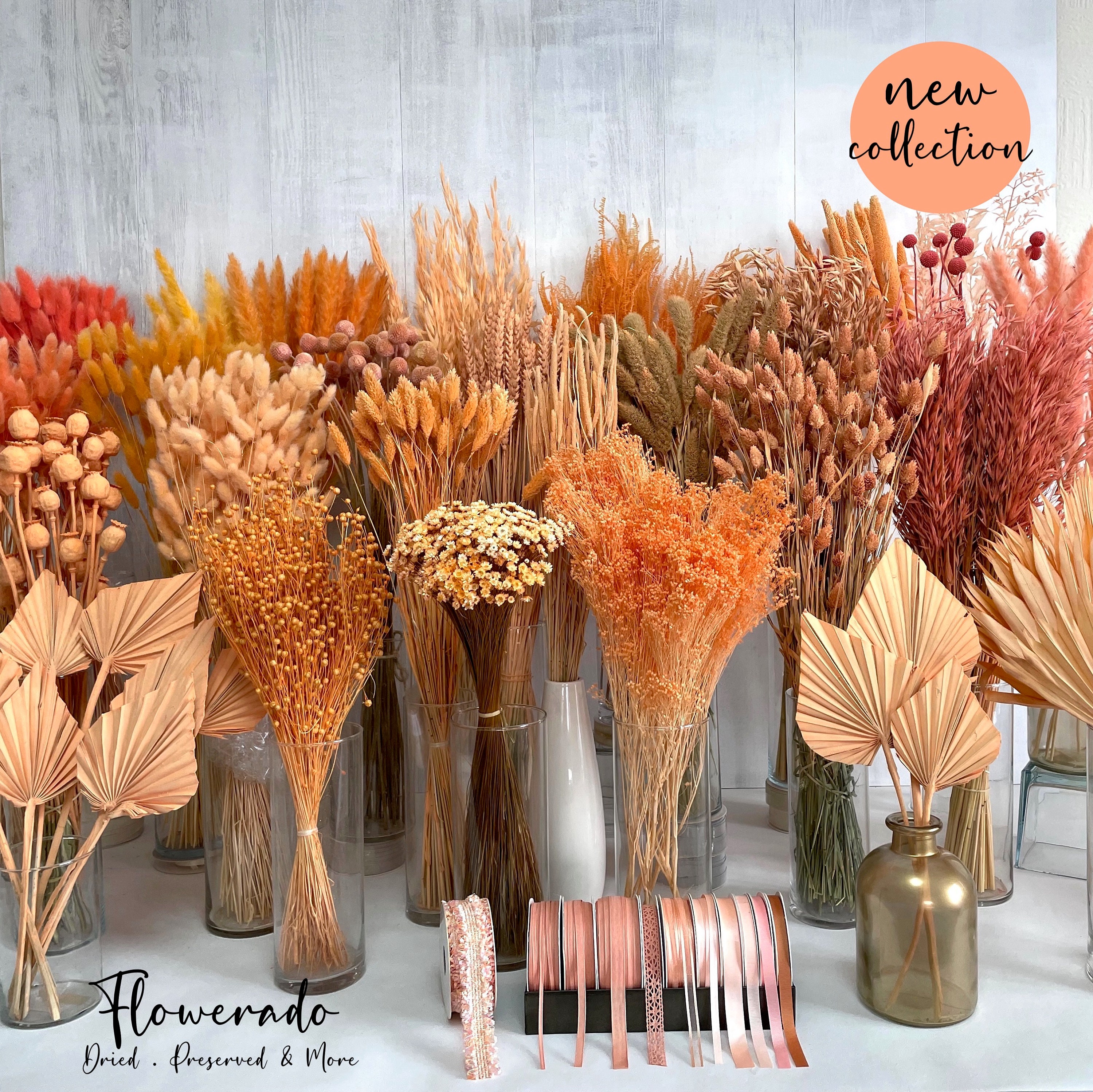Trockenblumen Apricot Orange Blumen Tischdeko Hochzeitsdeko Brautstrauß Hochzeit Einladung DIY Deko Frühling Osterdeko Trockenblumenstrauß