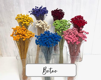 Lumière sèche Botao bouton fleurs mini fleurs pour cartes d’invitation ou le bouquet de fleurs séchées couronne de fleurs séchées résine époxy résine art cadeau