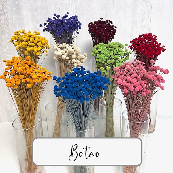 Lumière sèche Botao bouton fleurs mini fleurs pour cartes d’invitation ou le bouquet de fleurs séchées couronne de fleurs séchées résine époxy résine art cadeau