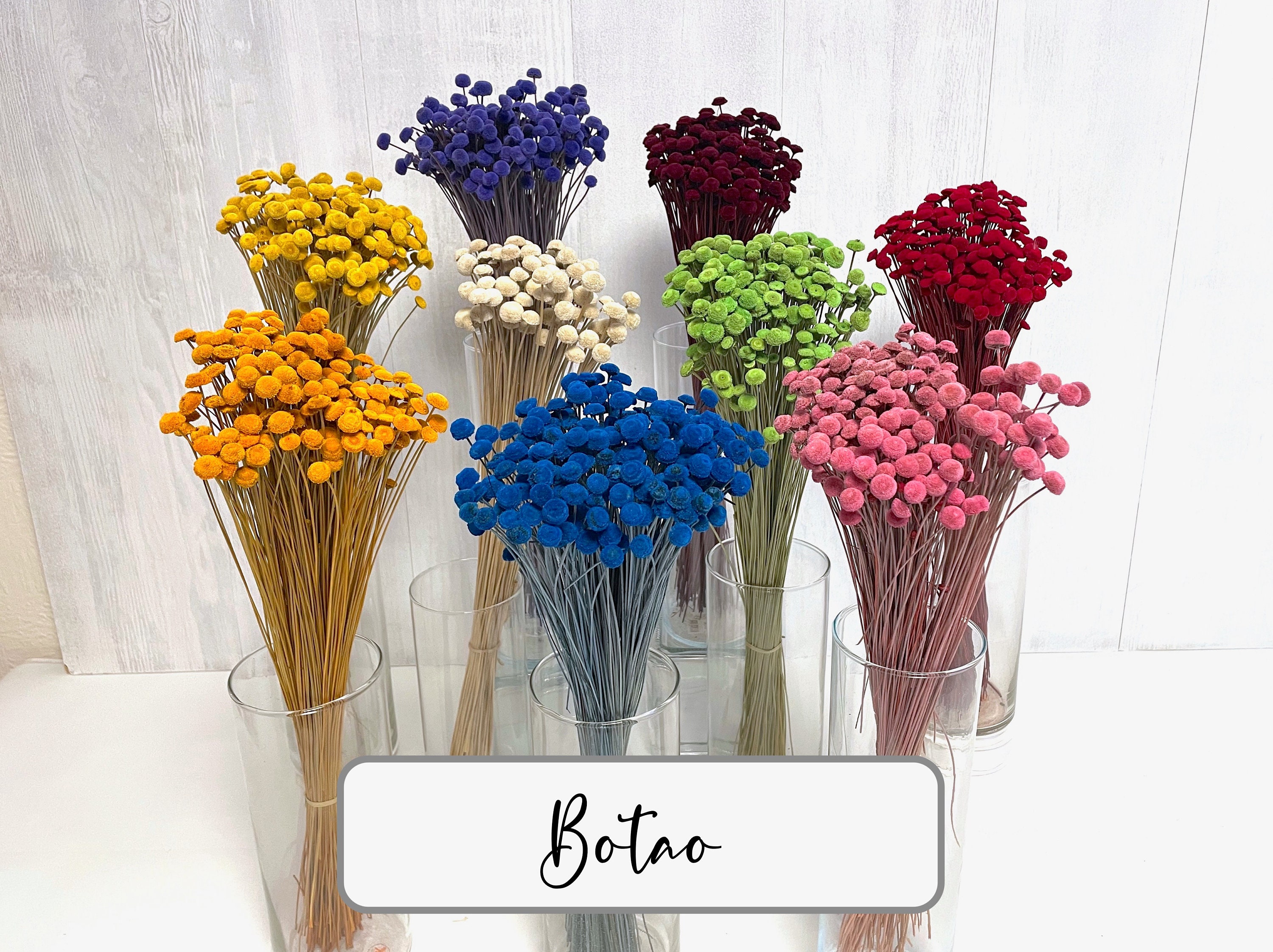 Dry lumen Botao button flowers mini flowers for invitation cards or the dried flower bouquet dried flower wreath epoxy resin resin art gift
