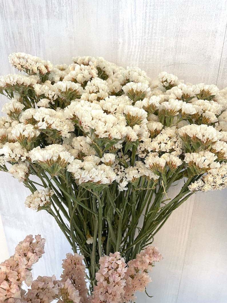 May include: A bouquet of dried white statice flowers with green stems. The flowers are arranged in a vase and are in focus. The background is a white wooden surface.