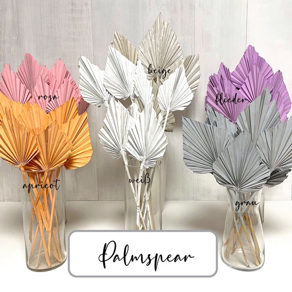 Feuille de palmier Feuilles de palmier séchées Petites feuilles de palmier Fleurs séchées Lance de palmier pour Bouquet de fleurs séchées Arrangement de fleurs séchées Cadeau bricolage