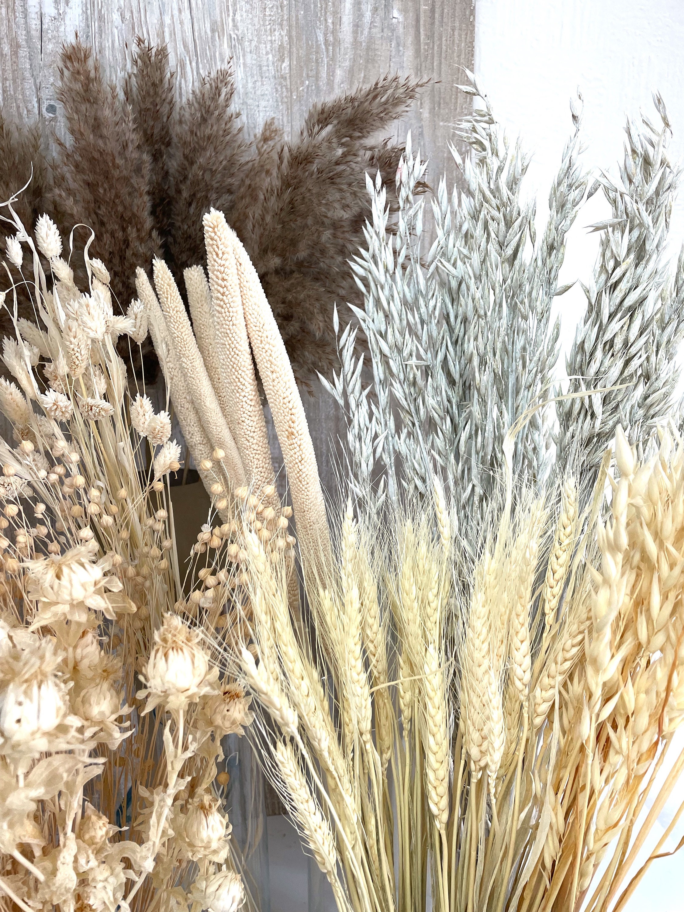 Getrocknete Weizenstängel 100 Stück - Natürliche Trockenblumen Deko 55cm, Rustikaler Charme Für Hochzeit & Zuhause