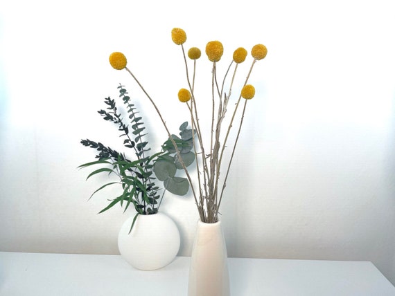 Craspedia gelb getrocknete Blume Trommelstock Billy Ball natürliche Trockenblumen Frühling Ostern Home Deco DIY Strauß Kranz Hochzeit Deko