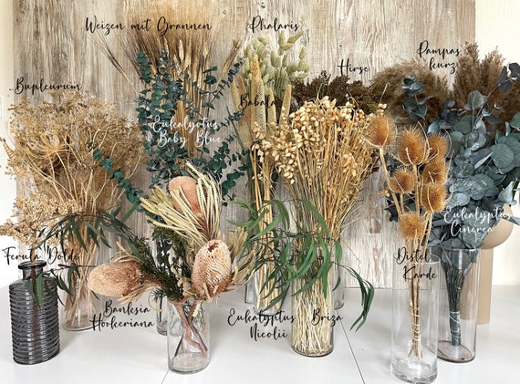 Trockenblumen Set 12 Stück - 30cm Natürliche Blumen Für Deko