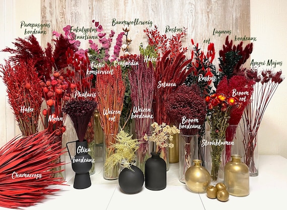 Trockenblumen rot bordeaux Lagurus Ruskus Phalaris Glixia Broom Eukalyptus rote Blumen Hochzeit Geschenk DIY Tischdeko Weihnachten Muttertag