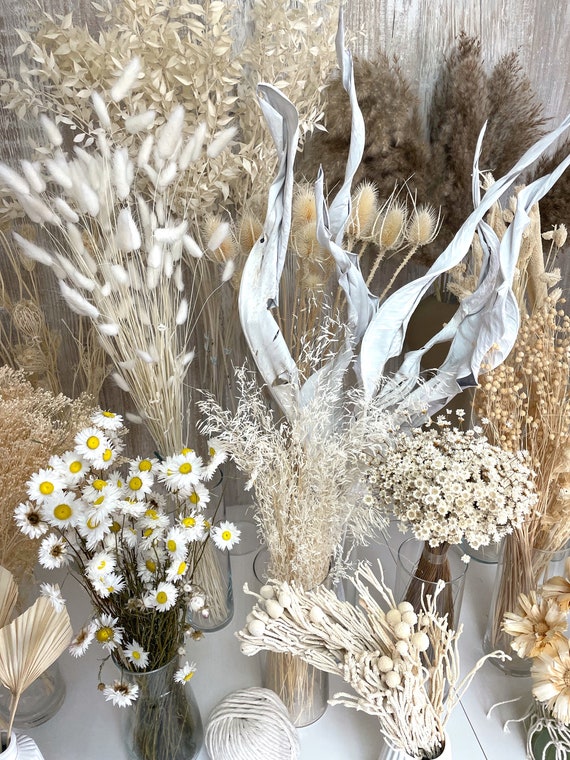 Trockenblumen weiß beige getrocknete Blumen Lagurus Phalaris Ruskus Glixia Palmblatt Broom Flachs Boho Deko Hochzeit Tischdeko Weihnachten