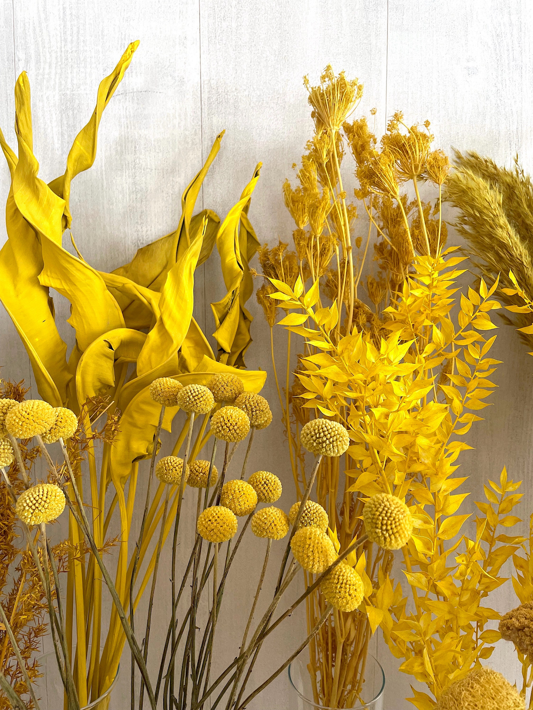 Gelbe Blumen Trockenblumen senfgelb Tischdeko Frühling Osterdeko Sommerblumen Hochzeitsdeko Schleierkraut Craspedia Glixia Hafer Weizen DIY