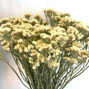 May include: A bunch of dried statice flowers in a pale yellow color. The flowers are arranged in a bouquet and have long, thin stems.