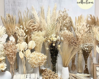 Trockenblumen beige creme Trockenblumenstrauß Boho Blumen Set Tischdeko Hochzeit Frühling Pampasgras Broom Protea Strohblumen Weihnachten