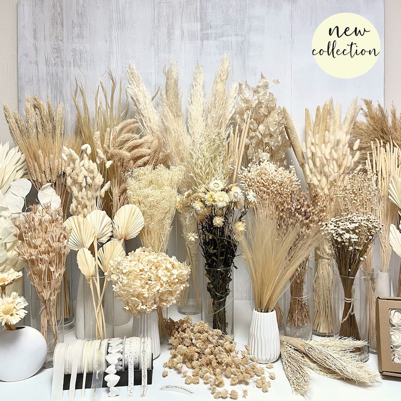 Trockenblumen beige creme Trockenblumenstrauß Trockenblumenkranz basteln Boho Blumen Set Tischdeko Hochzeit  Broom Protea Strohblumen Glixia Pampasgras Hortensie Phalaris Gerste Lagurus Hafer Palmblatt Briza Nigella Eukalyptus Flachs Schilfkolben